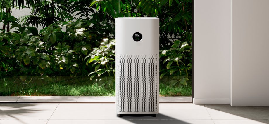Best air purifier for allergies
